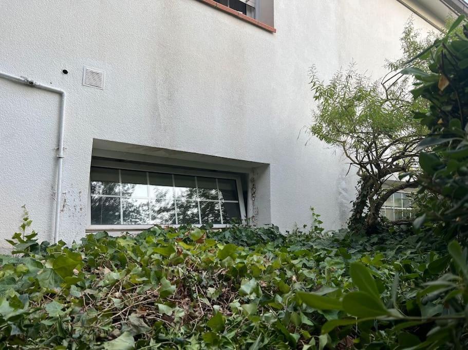Alojamiento Privado En Casa De Montana Matadepera Exterior photo